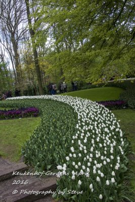 DSC_4074A.jpg