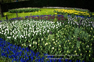 DSC_4093A.jpg