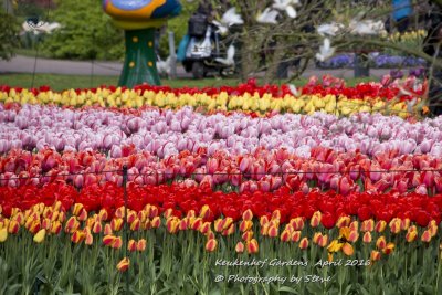 DSC_4099A.jpg