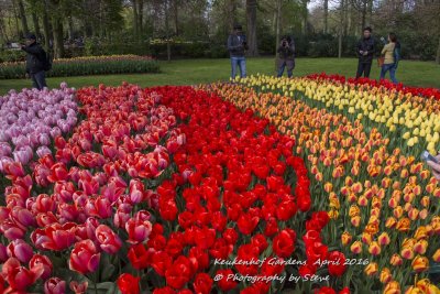 DSC_4102A.jpg