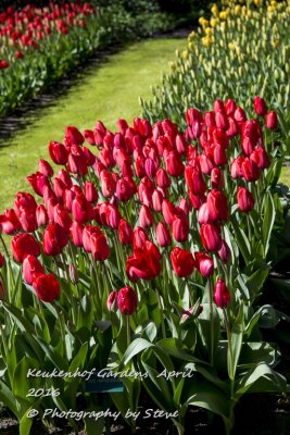 DSC_4106A.jpg