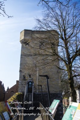 DSC_3825A.jpg