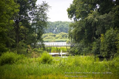 DSC_5529A.jpg