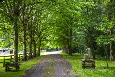 DSC_5531A.jpg