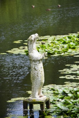 DSC_5537A.jpg