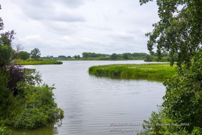 DSC_5539A.jpg