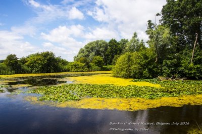 DSC_5548A.jpg