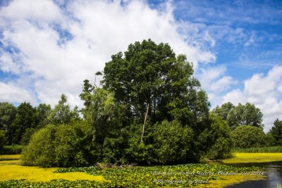 DSC_5549A.jpg
