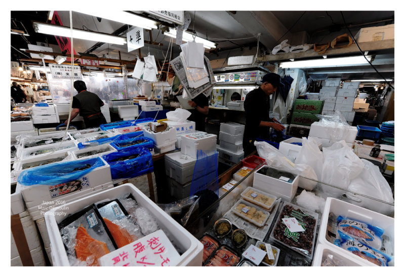 Tsukiji Fish Market - Tokyo 2
