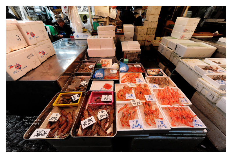 Tsukiji Fish Market - Tokyo 20