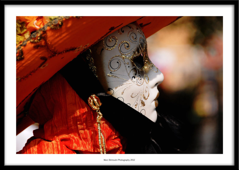 Venetian carnival, Martigues, France 2012