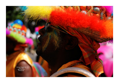 Carnaval Tropical de Paris 2013 - 7