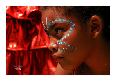 Carnaval Tropical de Paris 2013 - 8