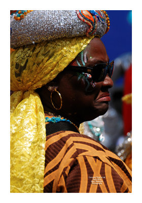 Carnaval Tropical de Paris 2013 - 17