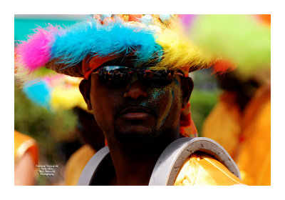 Carnaval Tropical de Paris 2013 - 43