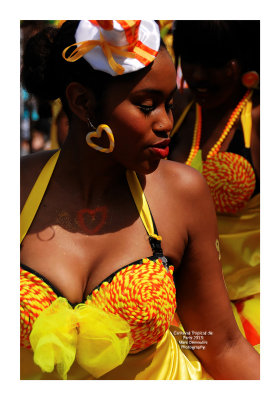 Carnaval Tropical de Paris 2013 - 45