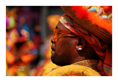 Carnaval Tropical de Paris 2013 - 53