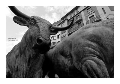 The statue in Pamplona 11