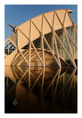 Valencia - Ciudad de las artes y las ciencias 18