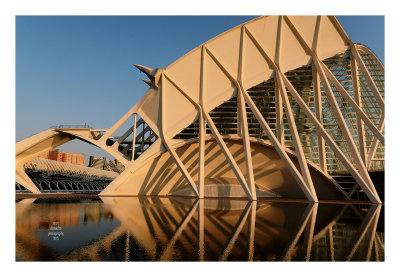 Valencia - Ciudad de las artes y las ciencias 19