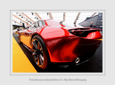 Festival Automobile International Paris 2016 - 14