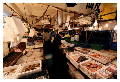 Tsukiji Fish Market - Tokyo 9
