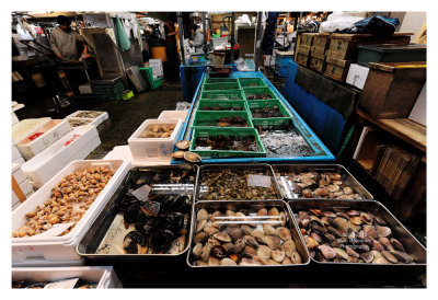 Tsukiji Fish Market - Tokyo 14