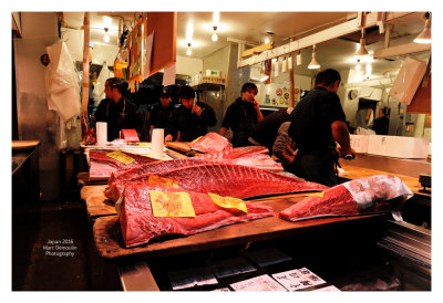 Tsukiji Fish Market - Tokyo 17