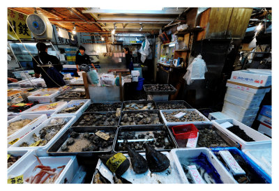 Tsukiji Fish Market - Tokyo 18