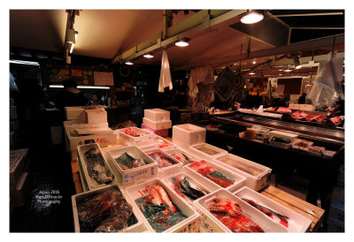 Tsukiji Fish Market - Tokyo 22