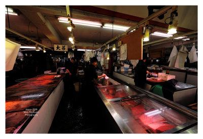 Tsukiji Fish Market - Tokyo 26