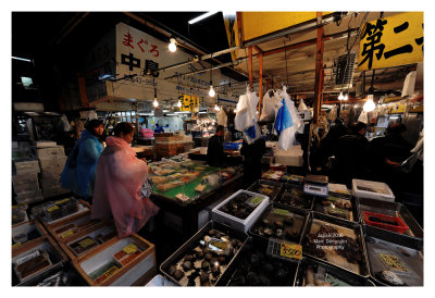 Tsukiji Fish Market - Tokyo 27