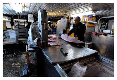 Tsukiji Fish Market - Tokyo 32