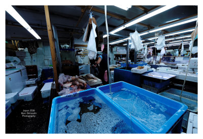 Tsukiji Fish Market - Tokyo 35