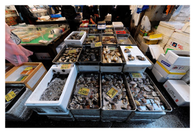 Tsukiji Fish Market - Tokyo 40