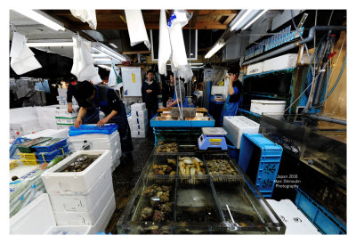 Tsukiji Fish Market - Tokyo 45
