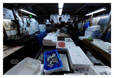 Tsukiji Fish Market - Tokyo 47