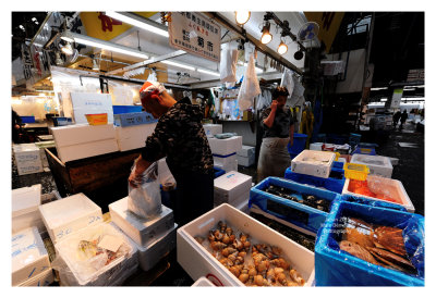 Tsukiji Fish Market - Tokyo 49