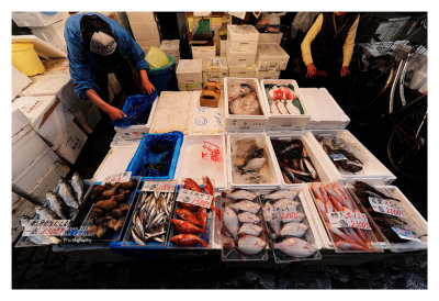 Tsukiji Fish Market - Tokyo 50