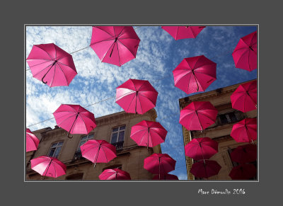 Umbrellas against cancer
