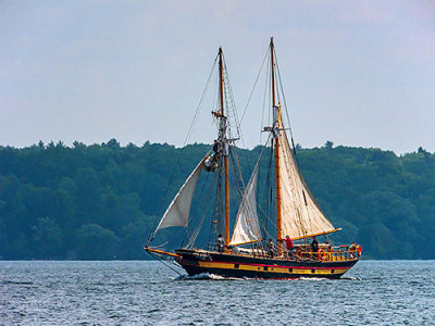 Sails On The 'St. Lawrence II' (DSCF04080)