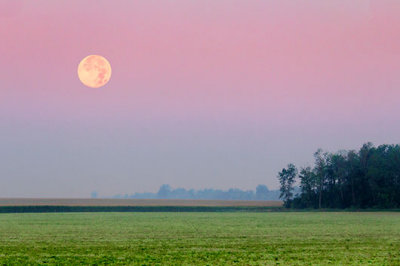 Full Moon Over Fields At Sunrise 20130821