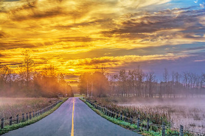 Foggy Clouded Roses Bridge Sunrise 37860-3