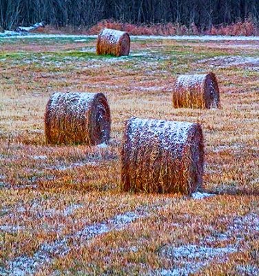 Frosty Bales 20131124