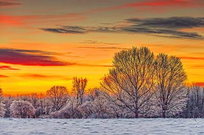 Frosty Sunrise 40161-2