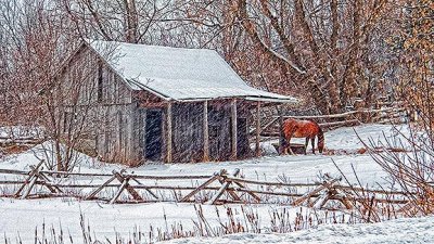 Rustic Horse Shed In Snowfall 20140119
