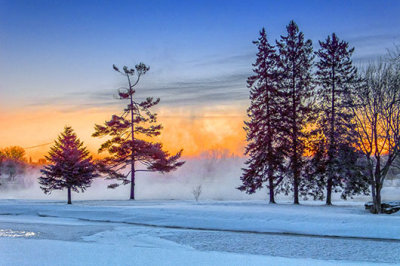 Pines At Sunrise 20140121