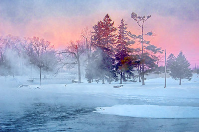 Pines In Mist At Sunrise DSCF12823