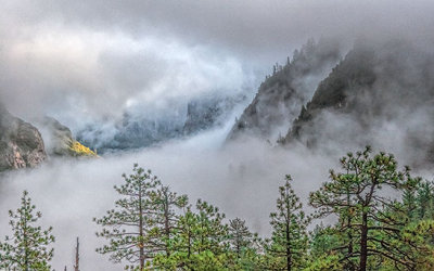 Fog-filled Yosemite Valley 22831