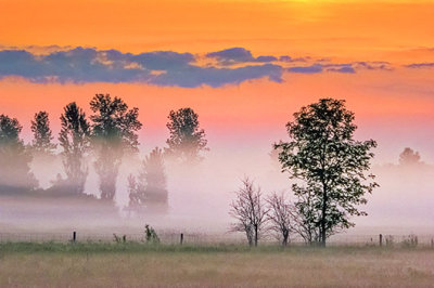 Ground Fog At Sunrise 20140617